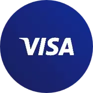 Visa Logo